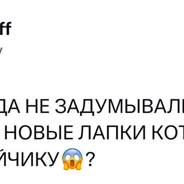 Источник: X (Twitter)