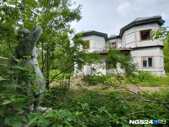 Всё заросло кустами | Источник: NGS24.RU