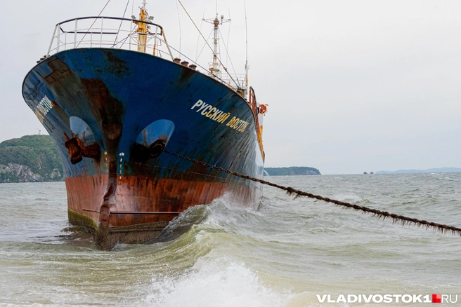 Источник: Елена Буйвол / VLADIVOSTOK1.RU