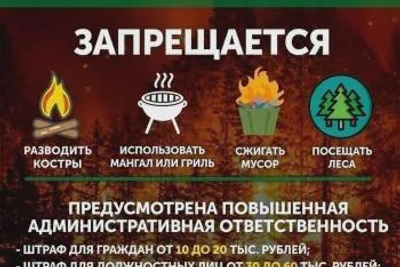 Особый противопожарный режим введен в Башкортостане