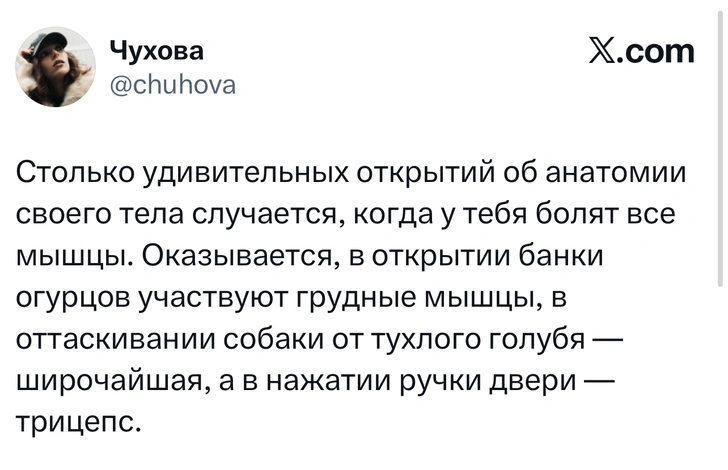 Источник: X (Twitter)