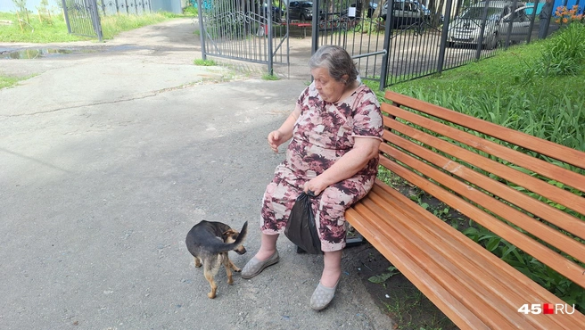 Собака у семейной пары вынуждена жить и питаться на улице | Источник: Александр Лисихин / 45.RU