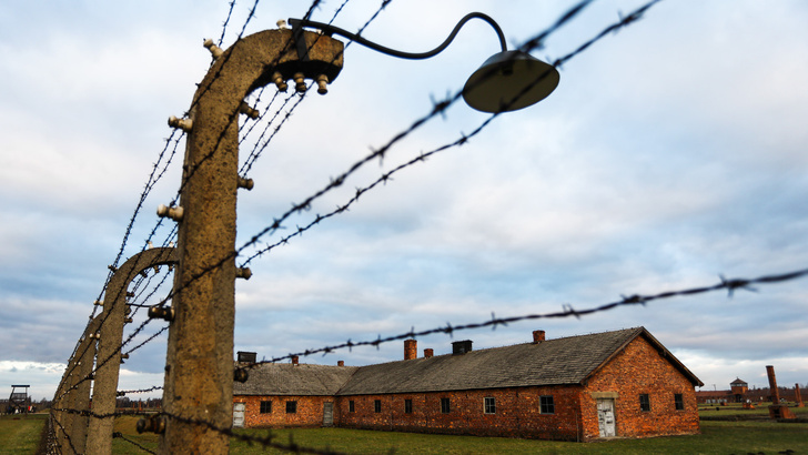 В день памяти жертв Холокоста: «Если сегодня выживу, завтра буду свободна» — Эдит Эгер