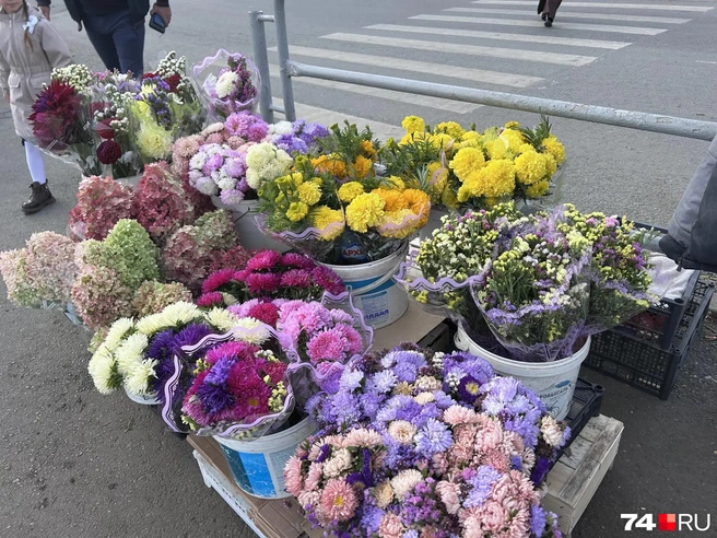 Выбор действительно есть  | Источник: Светлана Талипова