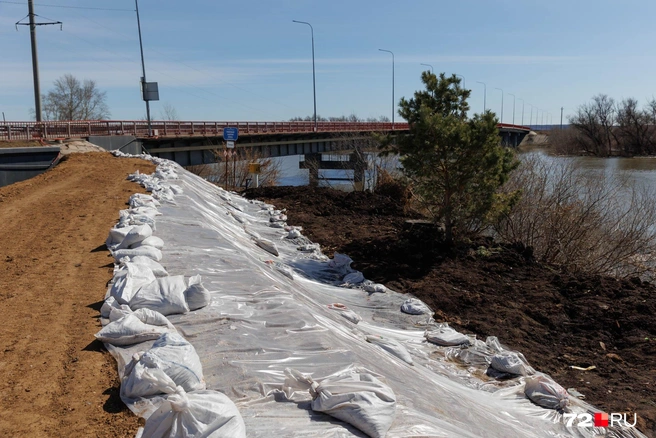 Новая насыпь в Ишиме должна защитить часть города от подъема воды. Всё готово: мешки, пленка, песок | Источник: Ирина Шарова / 72.RU