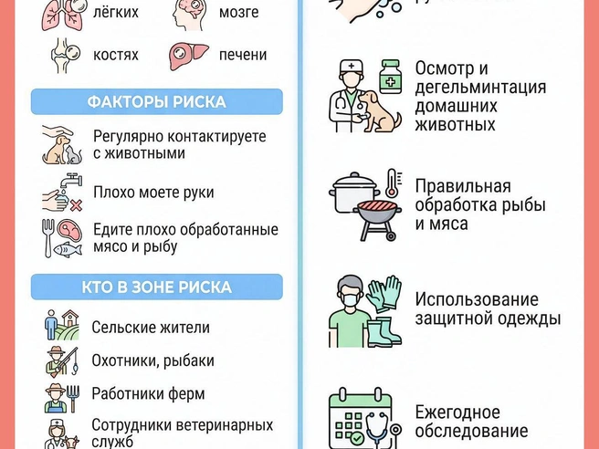 Соблюдение простых гигиенических правил позволяет снизить риск заражения эхинококкозом. | Источник: Юрий Орлов / Городские медиа