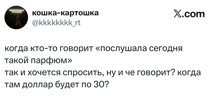 Источник: X (Twitter)