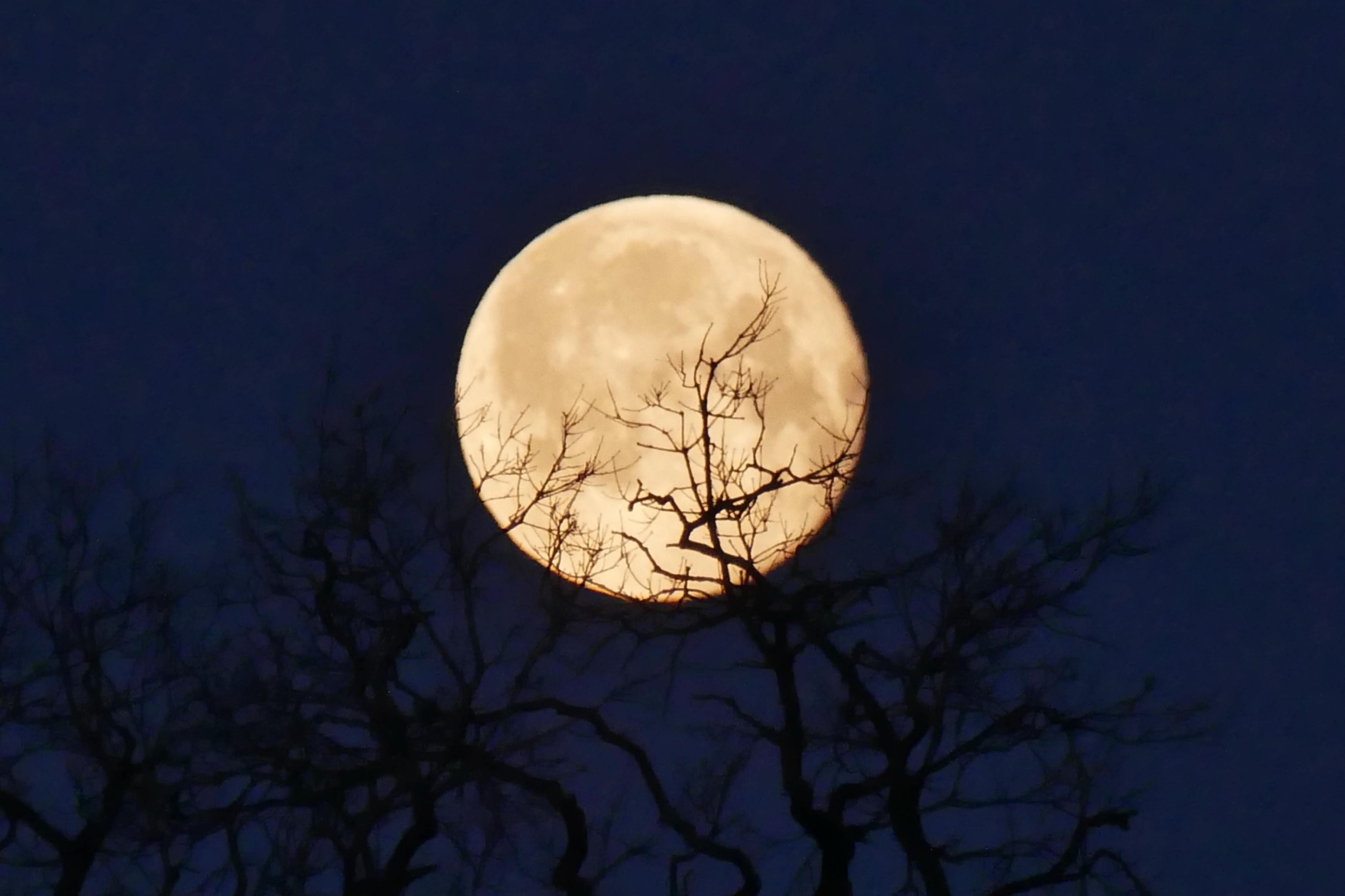 Почему лунные месяцы имеют разную продолжительность | Вокруг Света