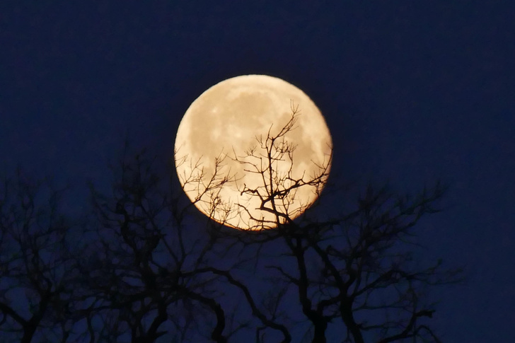 Почему лунные месяцы имеют разную продолжительность?
