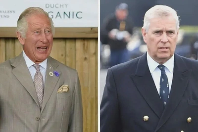 Эндрю Виндзор в ярости из-за отсутствия медиаконтроля как у брата-короля