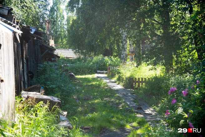 Источник: Иван Митюшёв / 29.RU