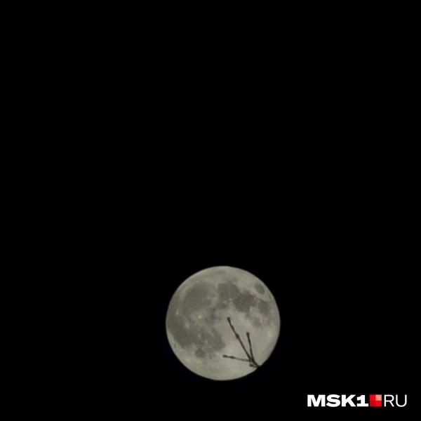 Источник: читатель MSK1.RU