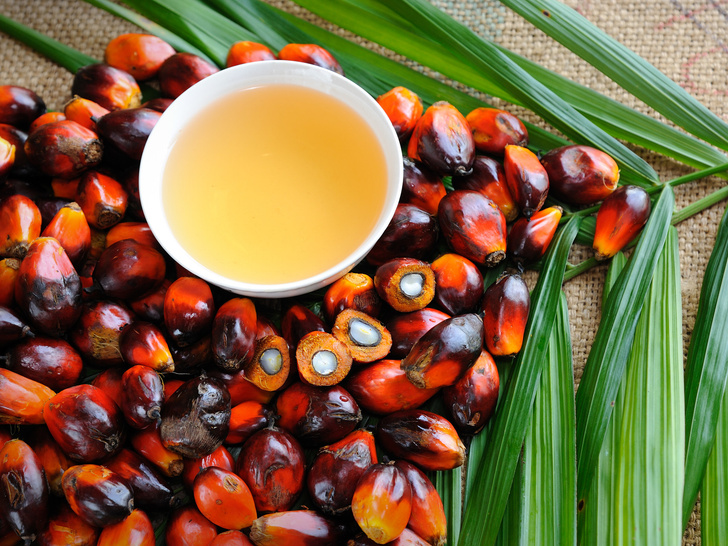 5 мифов о вреде пальмового масла, в которые пора перестать верить