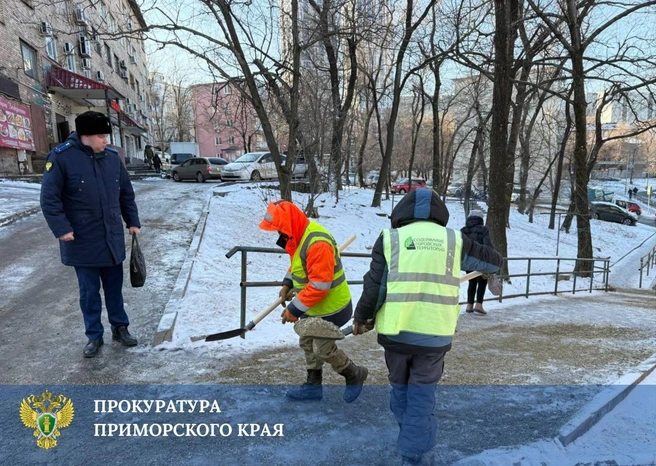 После ледяного коллапса прокуратура внесла более 60 представлений в Приморье | Источник: прокуратура Приморского края
