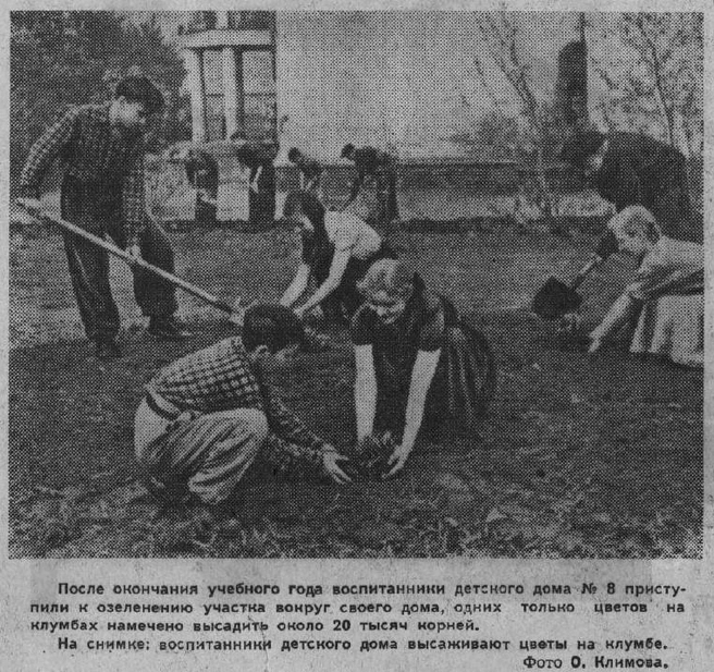 В середине ХХ века, воспитанники детского дома садили на клумбах цветы, занимались огородом и садом (фото из старой газеты). | Источник: Татьяна Черданцева