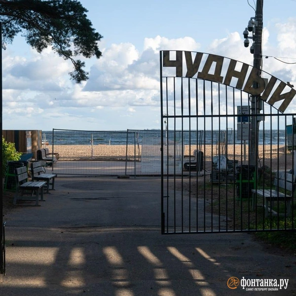 Источник: Андрей Бок / FONTANKA.RU
