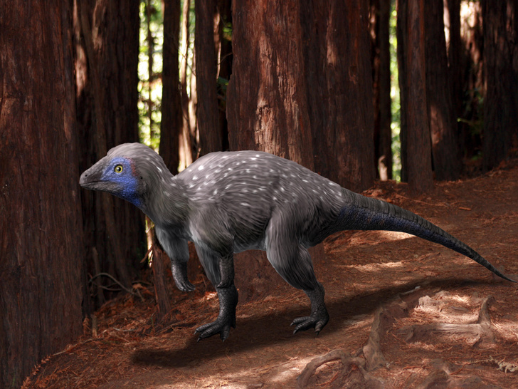 Мирные чудища мезозоя: 10 самых удивительных растительноядных динозавров