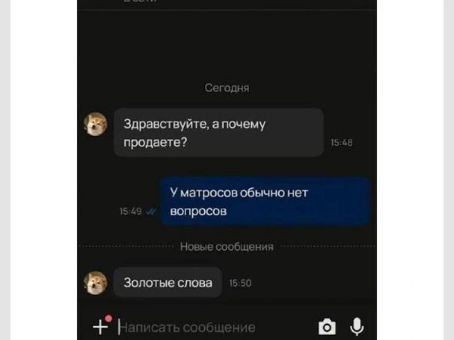 Приятно, когда собеседник понимает шутки | Источник: Городские медиа