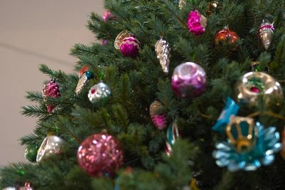 Мэр Екатеринбурга разъяснил правила украшения подъездов