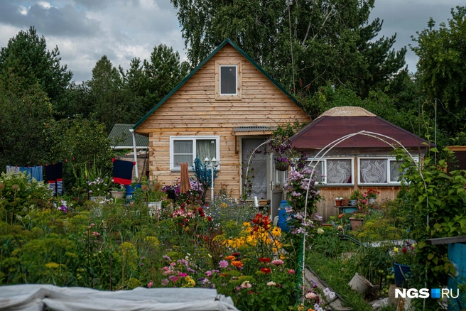 Йод — прекрасный антисептик, который можно применять и в теплице, и на огороде | Источник: Александр Ощепков / NGS.RU