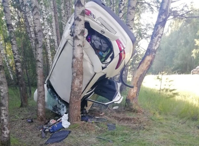 В ДТП с улетевшим под Рязанью в лес автомобилем пострадали три человека | ya62.ru