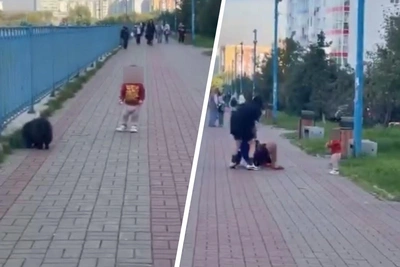 В Красноярске требуют забрать девочку у пьющей матери