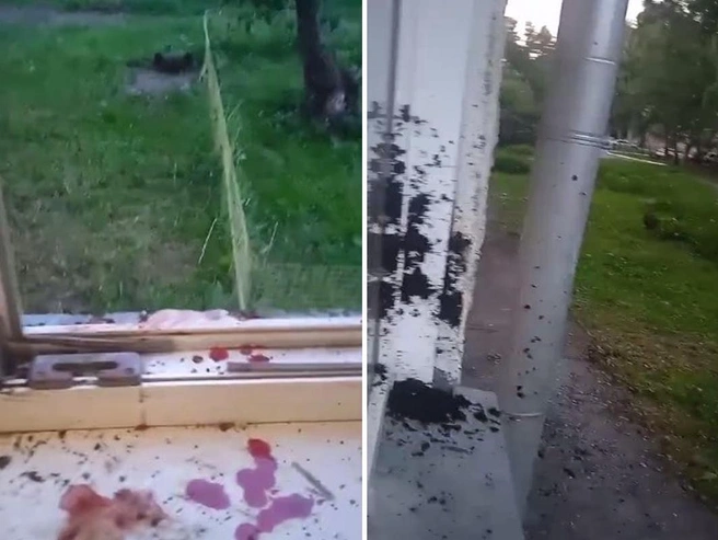 Первая стычка между соседями случилась в июне, по словам Татьяны | Источник: предоставлено Татьяной