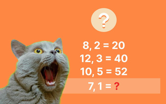 Тест на математического гения: 7, 1=? За 20 секунд решают только люди с IQ выше 130