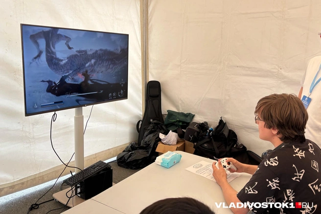 Black Myth: Wukong игра от китайских разработчиков получила положительные оценки коньюнити | Источник: Елена Буйвол / VLADIVOSTOK1.RU