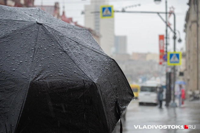 Регион накрыли дожди, а вот жара отступила | Источник: Елена Буйвол / VLADIVOSTOK1.RU