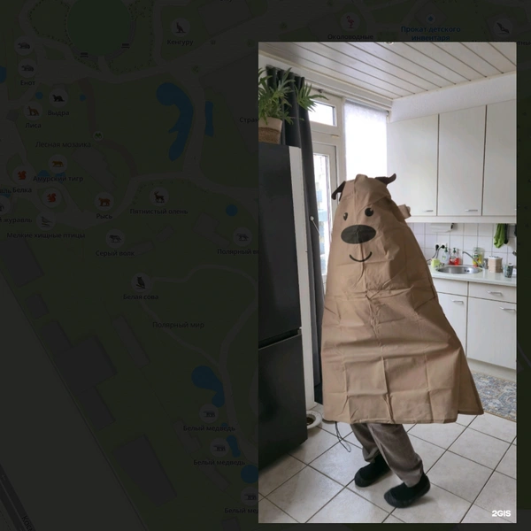 Медведица Парма так выросла за год  | Источник: онлайн-карты «2ГИС»