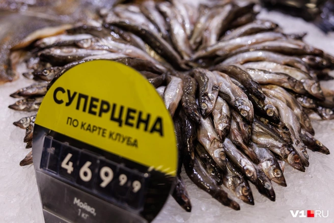 Возможно, скоро мойва станет таким же символом роскошной жизни среди блюд, как огурцы | Источник: Алексей Волхонский / V1.RU