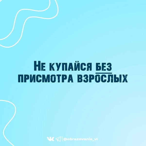 Источник: Администрация Владивостока / T.me