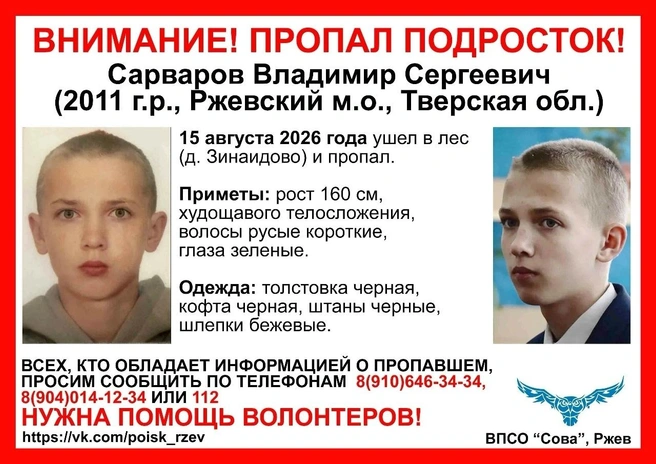 Ориентировка на поиски мальчика | Источник: ВПСО Сова Тверь и Тверская область / «ВКонтакте»