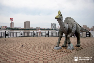 Благовещенск претендует на звание города с самой длинной речной набережной