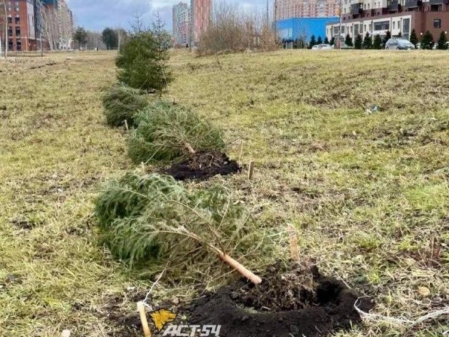 Ветер повредил деревья, сорвал крыши и балконные конструкции | Источник: «АСТ-54» / «ВКонтакте»