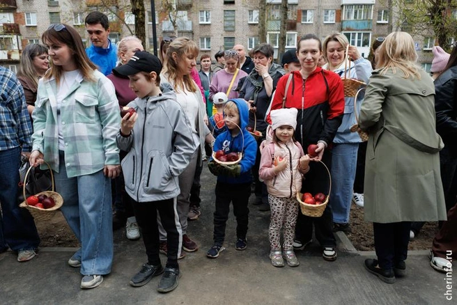 Источник: st.cherinfo.ru