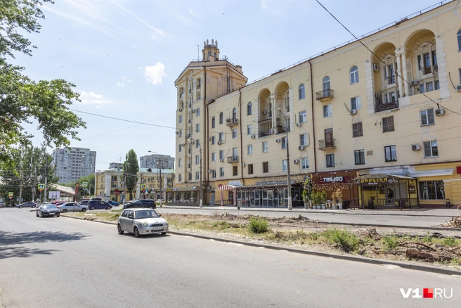 В Волгограде продолжена тотальная вырубка деревьев на улице Профсоюзной | Источник: Константин Завриков / V1.RU