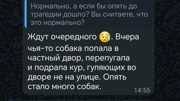 В поселке обсуждают собак | Источник: Анастасия Ш.