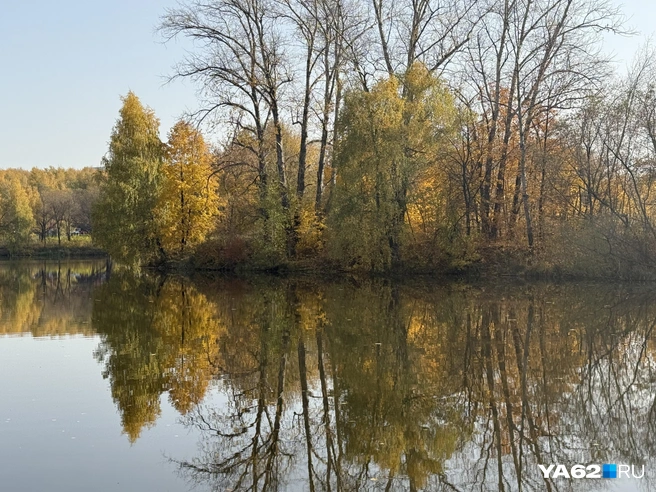 Зеркальный пруд, будто сошедший с картин Эрмитажа | Источник: Сергей Петунин / YA62.RU