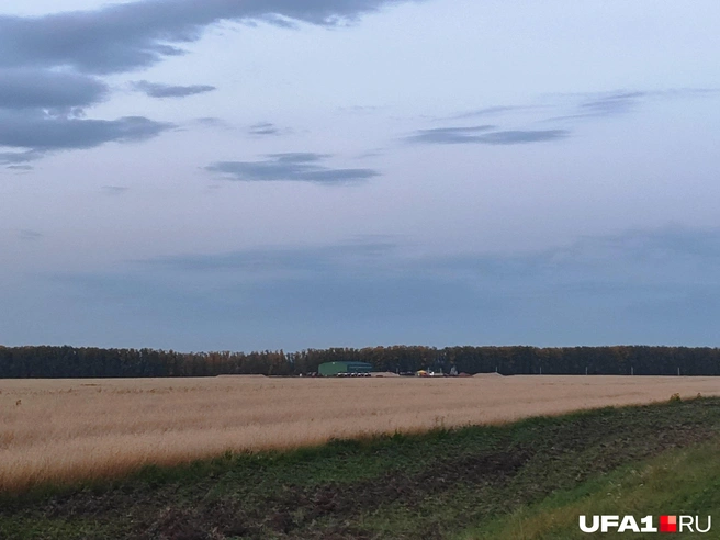 гурты остаются под открытым небом | Источник: Марина Каримова / UFA1.RU