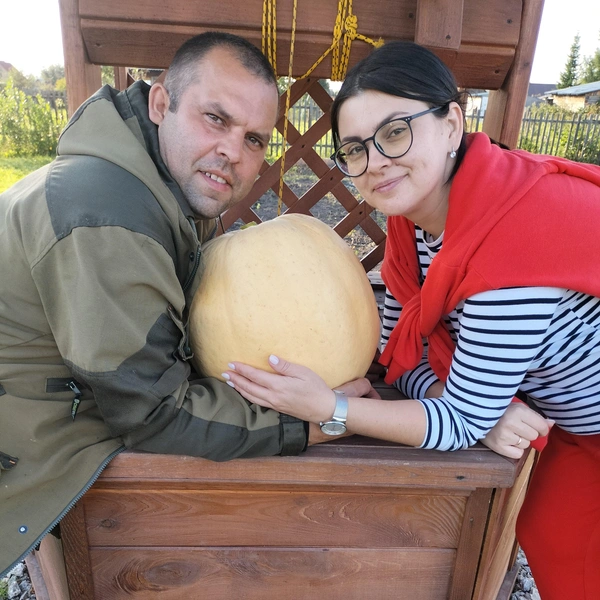 Источник: предоставлено участником конкурса