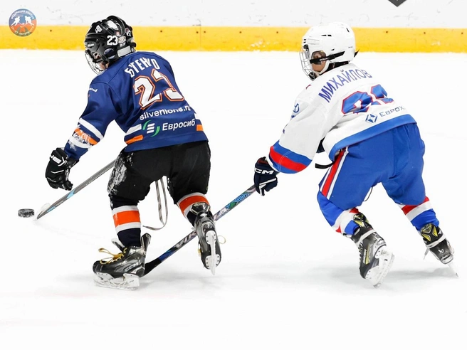 Источник: silverlions.ska.ru