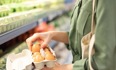 Какие яйца самые полезные: топ-10 торговых марок, в чьих продуктах повышенное содержание каратиноидов