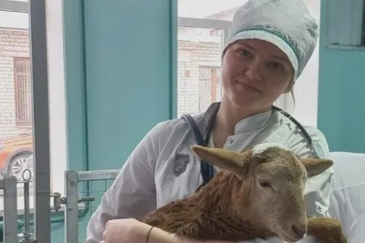 В Приамурье растет число целевиков-ветеринаров