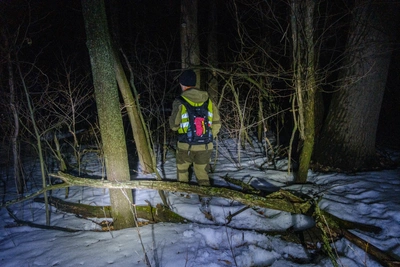 Пенсионерка пропала в Оленегорске. Отсутствуют кисти рук