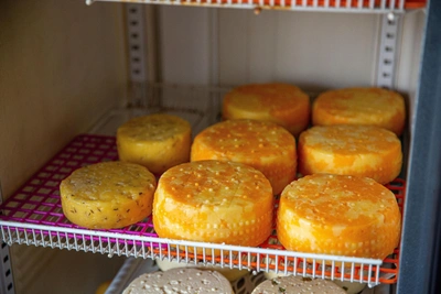 Сыр подорожал на 36% за пять лет в Новосибирской области