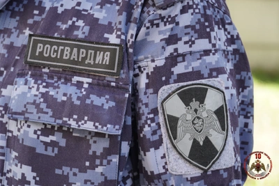 Росгвардия Пскова задержала псковичей за кражи