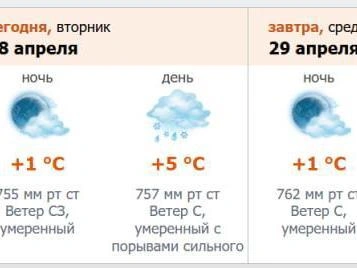 Прогноз, опубликованный на портале meteo.nw.ru