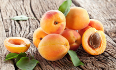 Не ошибетесь: три признака действительно спелого и сладкого абрикоса
